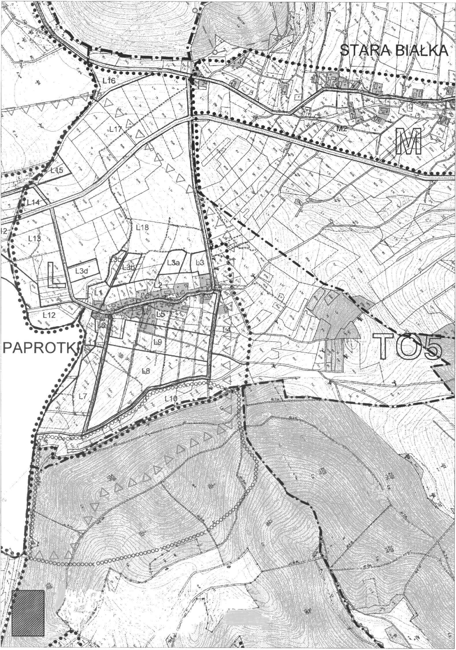 1L1.jpg (658186 bytes)
