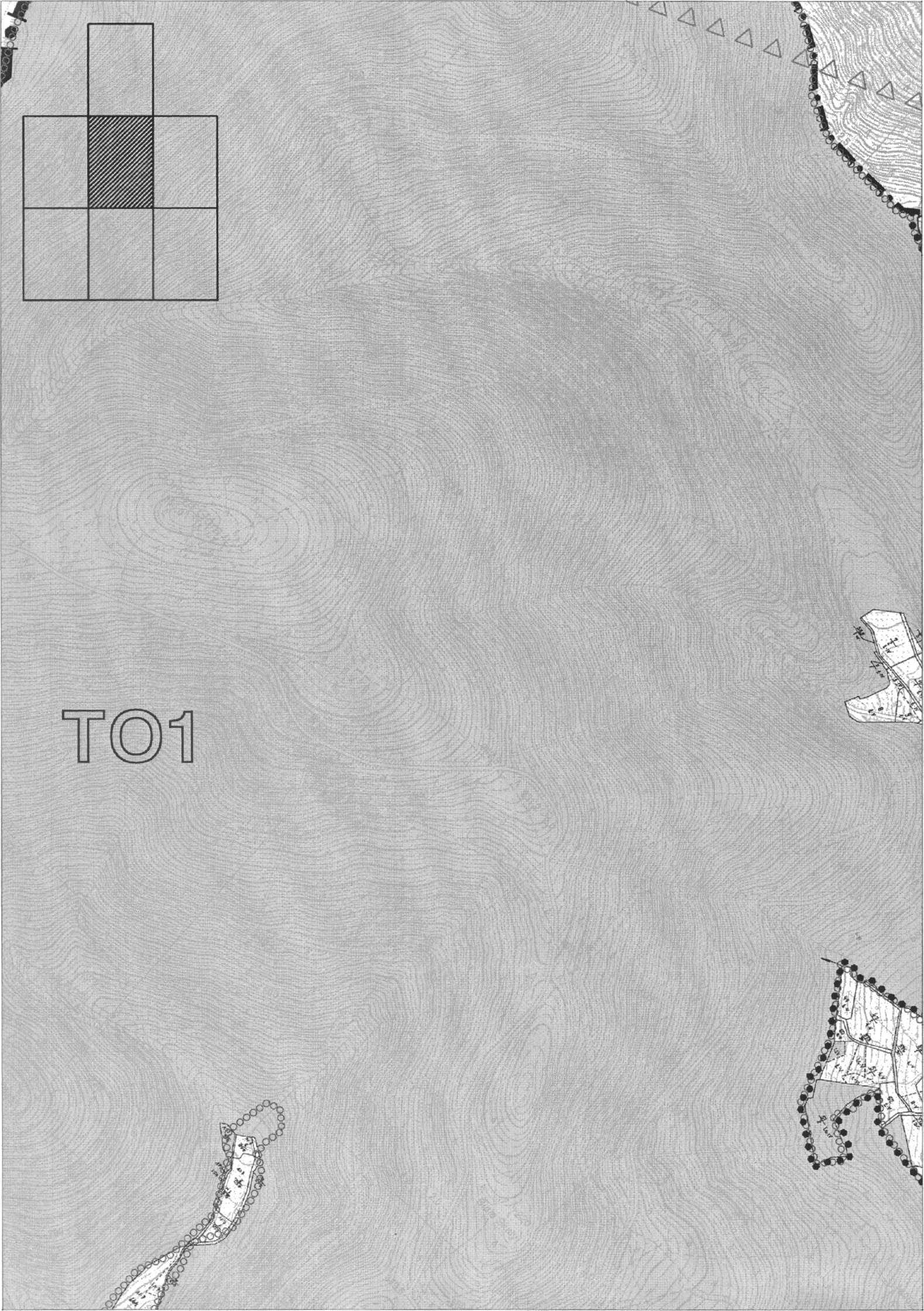 1g3.jpg (458474 bytes)