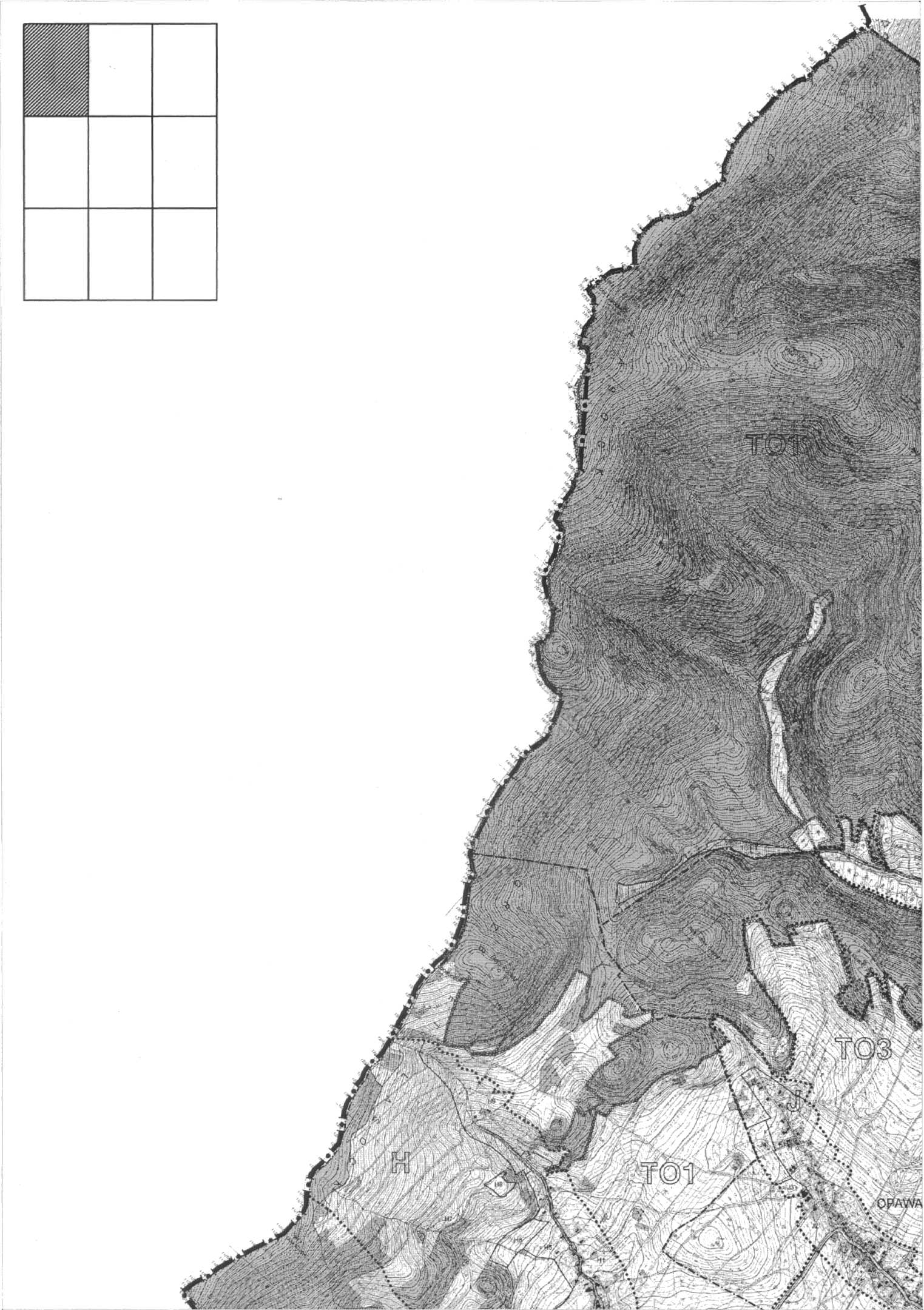 1p1.jpg (350678 bytes)